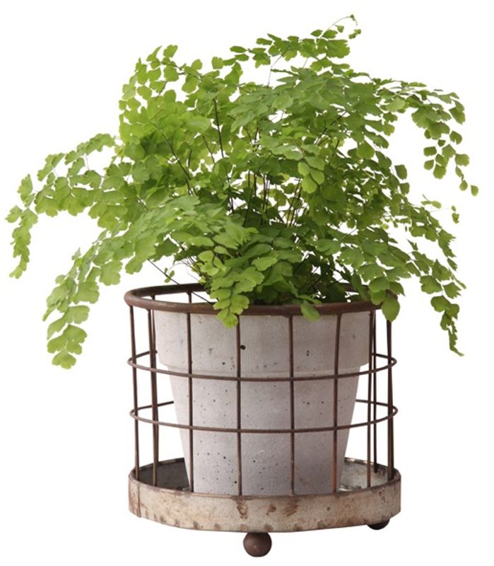 Nettingkurv 13x28cm - ELDgarden